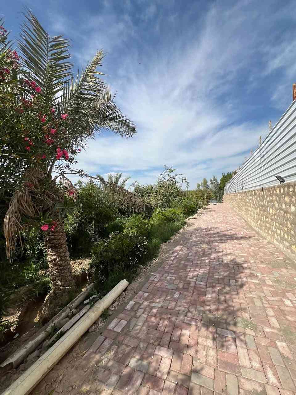 السلام عليكم مزرعه للبيع  
طابو زراعي سند 25 ملك صرف تحويل مباشر المساحة نصف دونم ١٣٥٠ م الموقع شط الكوفه شارع الشاليهات و المسبح الهولندي قريبه ع شارع العلماء و المنظر مال شط كدامة يخبل  المزرعه بيه بيت متكون من غرفتين و مطبخ و حمام خارجي و بيه مسبح صغير  المزرعه كل شي ماناقصه و تكدر اتسويه شاليه  
اي تفاصيل ثانيه ع مزرعه اتواصل وياي خاص 
او على هذا الرقم ***********
