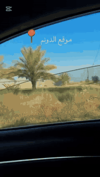 سلام عليكم
دونم للبيع تقاطع السادة
يرهم مزرعة او استثمار
وجه ٤٠ نزال ٦٢
للاستفسار
***********
***********
