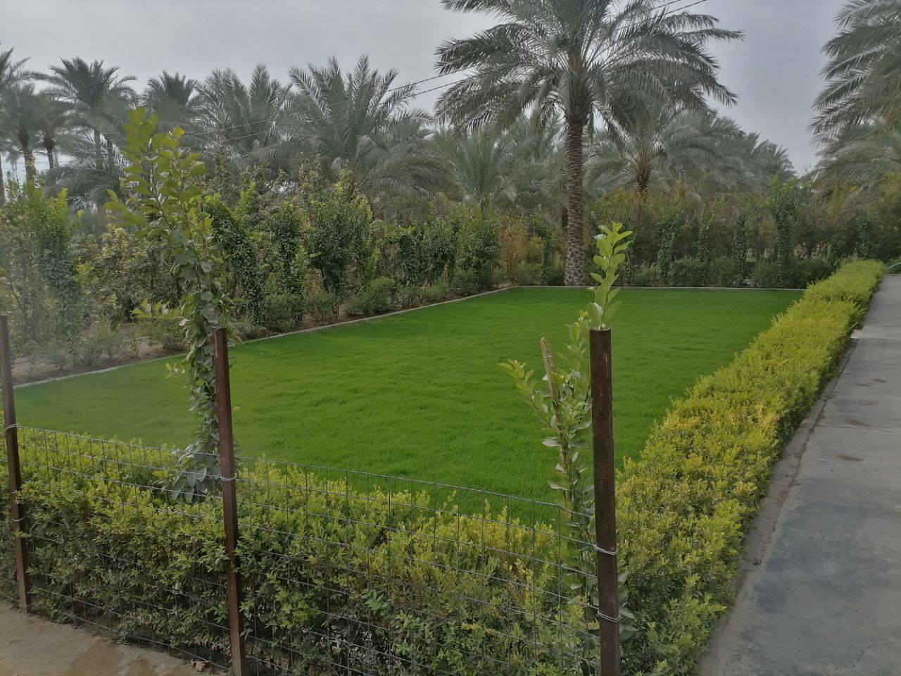 السلام عليكم.. كادر عمل لزراعة الحدائق وعمل الديكورات وبيع الثيل وتأسيس المرشات. كرستة +عمل
للاستفسار مراسلتنا او الاتصال على الارقام التالية
***********
***********
