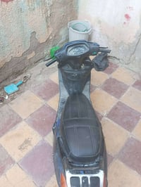 شغاله • كامله