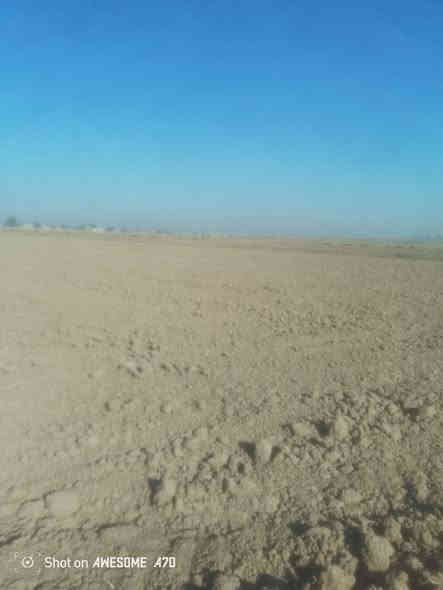 سلام عليكم ورحمة الله وبركاته ارض زراعيه لليجار 12دونم  مضروبه فدان ومضروبه اليزار مي متوافرر بس نصب ماطورك وشغل وهاذا راقمي ***********
