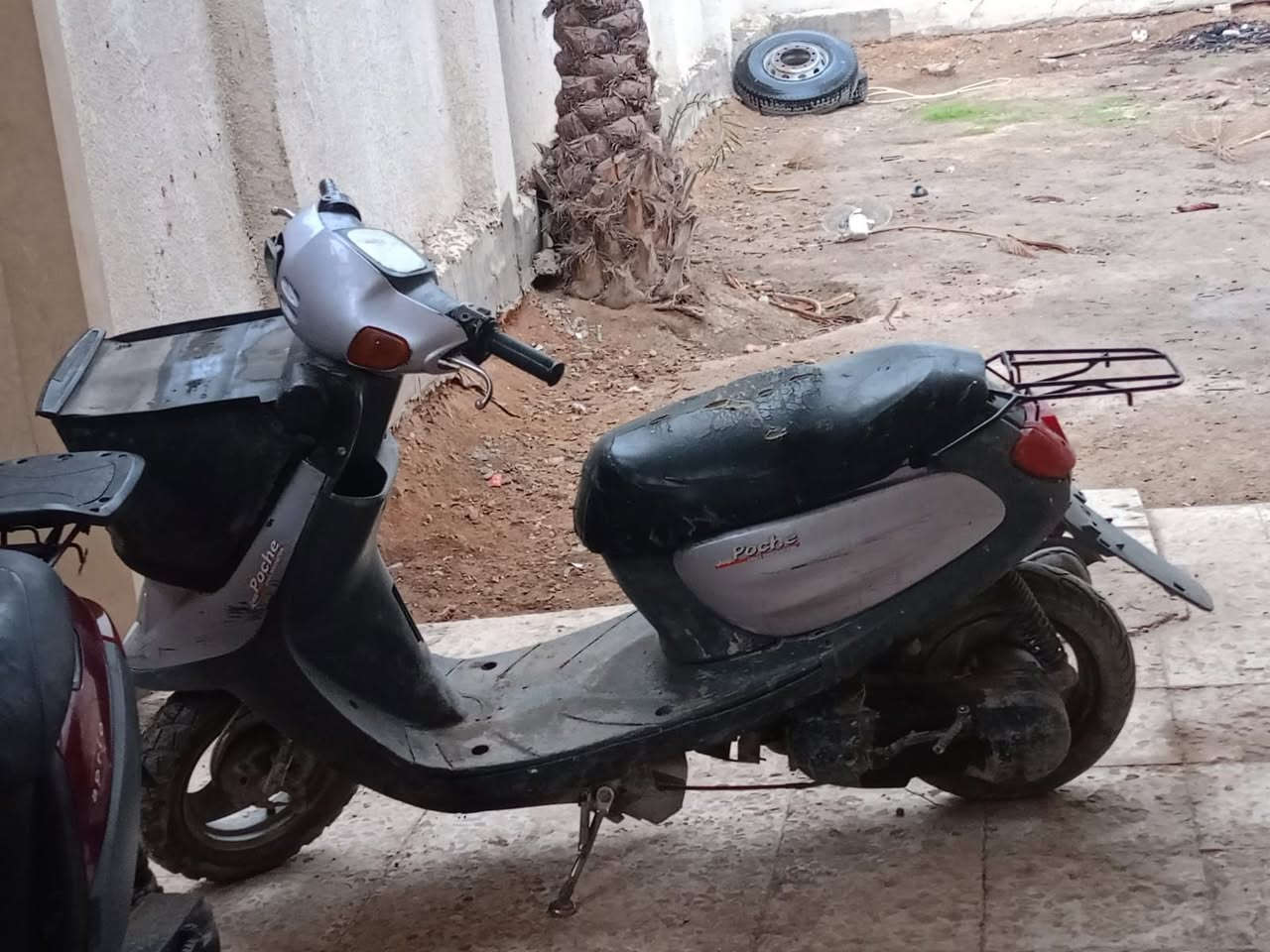 منغولي للبيع 125مجفته فقط
***********
