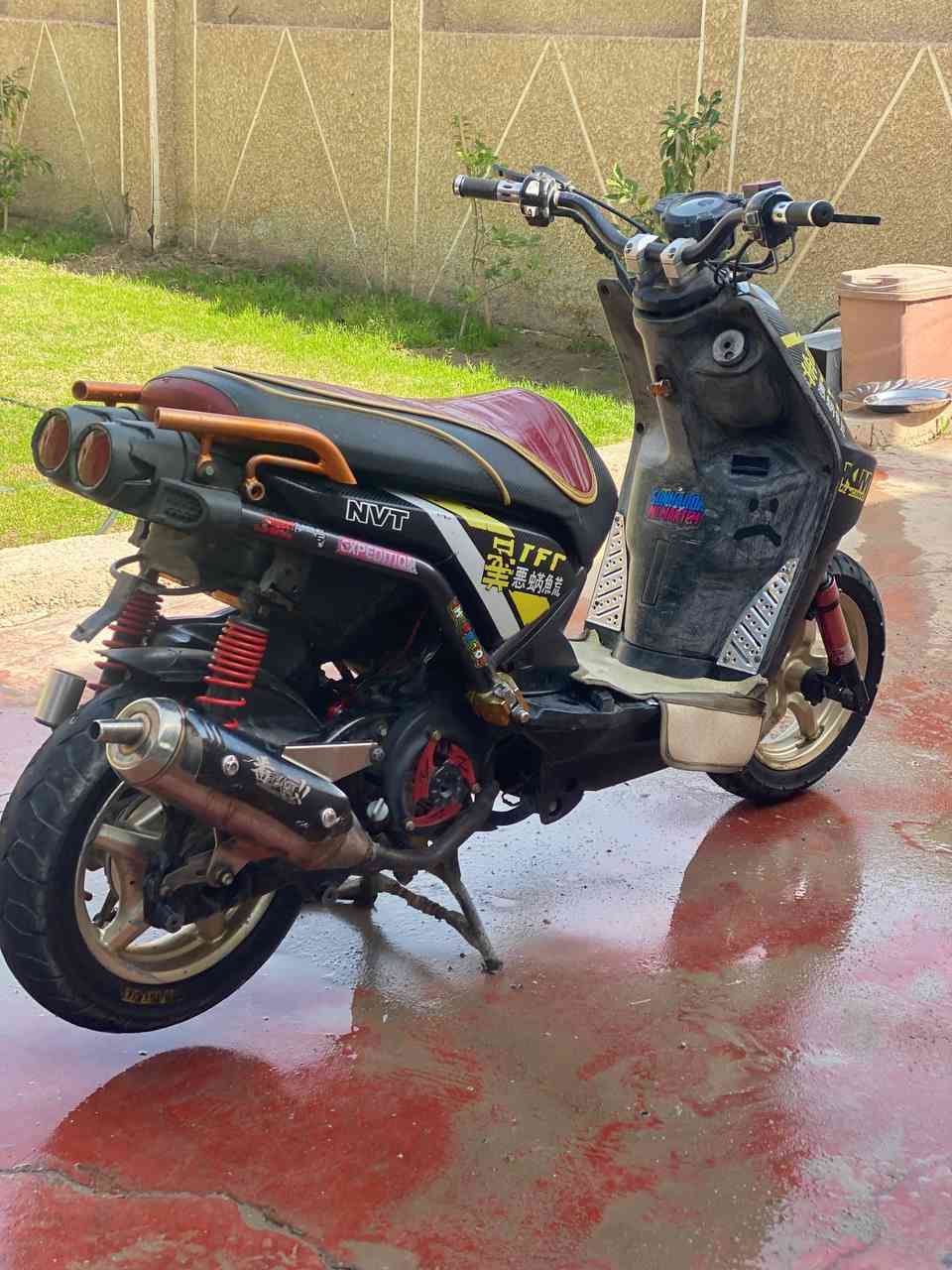 سكنس جبلي للبيع بيه تزويد صدر Dy.     وستيرن رياضي صالنصه نحله بعد بيه نواعم مكاني بغداد حي النصر واتساب***********
