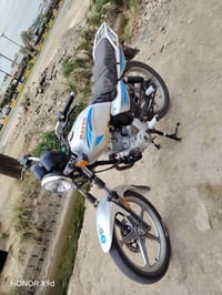 دايون • نضيفه • مكفوله