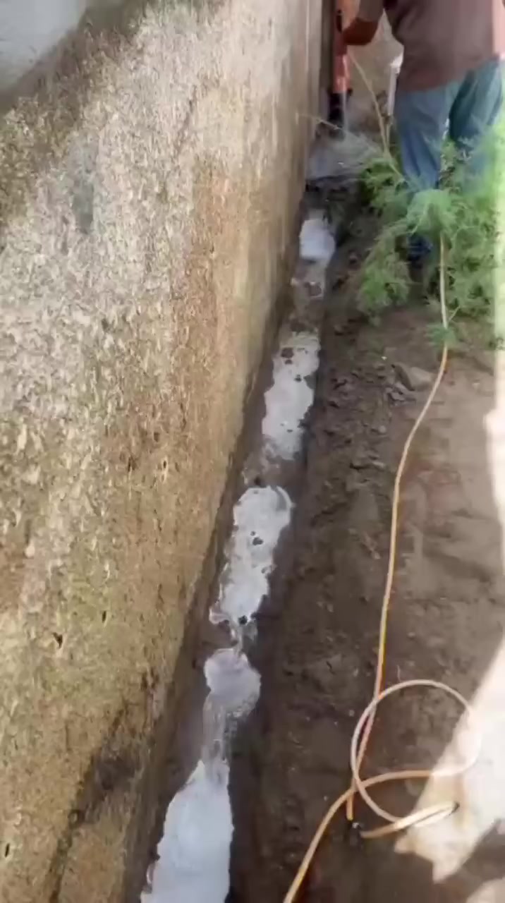 ✅ تعتبر حشرة الارضة من المشاكل المزعجة والمدمرة التي تؤثر على المنازل والمباني بسبب متطلباتها الغذائية العالية و لذلك

* يوفر لكم مكتبنا المتخصص في مكافحة الارضة من خلال فريق مدرب بشكل عالي وأستخدام أجهزة كشف متطورة ومواد ذات جودة عالية وفعالة لضمان القضاء الكامل على مستعمرات حشرة الارضة وتوفير الحماية الشاملة للمنازل 
_____________________
شركة المسارخيارك الأول و الأفضل  👍

للحجز او الأستفسار ***********
