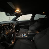 موستنك • معدل • بصرة