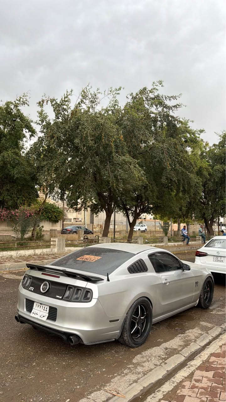 موستنك 2014 v6
خليجي صفر اربيل 
كير اوتو 
فول مواصفات 
كشنات جلد 
دواخل فورجد 
كامير خلفي 
كيج 7 الوان 
دوسات 7الوان 
بجم GT. 
لايتات شكل 2018
بك لايتات سموك 
وياله ويلد 20تو سايز 
سبويلر CS
تبريد شرط
رقم سليمانيه شرط تحويل
مكان سياره كركوك ***********
سياره بدون حادث صبغ عام لسبب الجراد 
شرط لا شواصي لا لغد ولا دواخل بيها
كير محرك شرط لامفتوح ولا بيها عيب 
سعرها 108 ومجال بسيط كركوك, العراق
