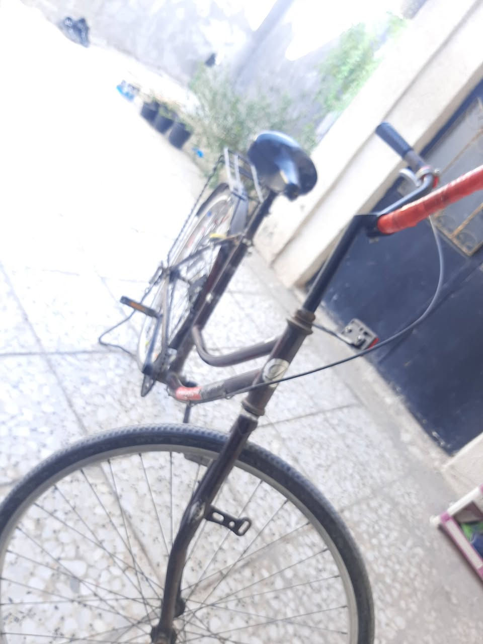 بايسكل للبيع
ياباني اصلي لونه ماروني 
العنوان كربلاء المقدسة 
حي الامير السعر 
50 الرقم واتساب 
فقط
***********
