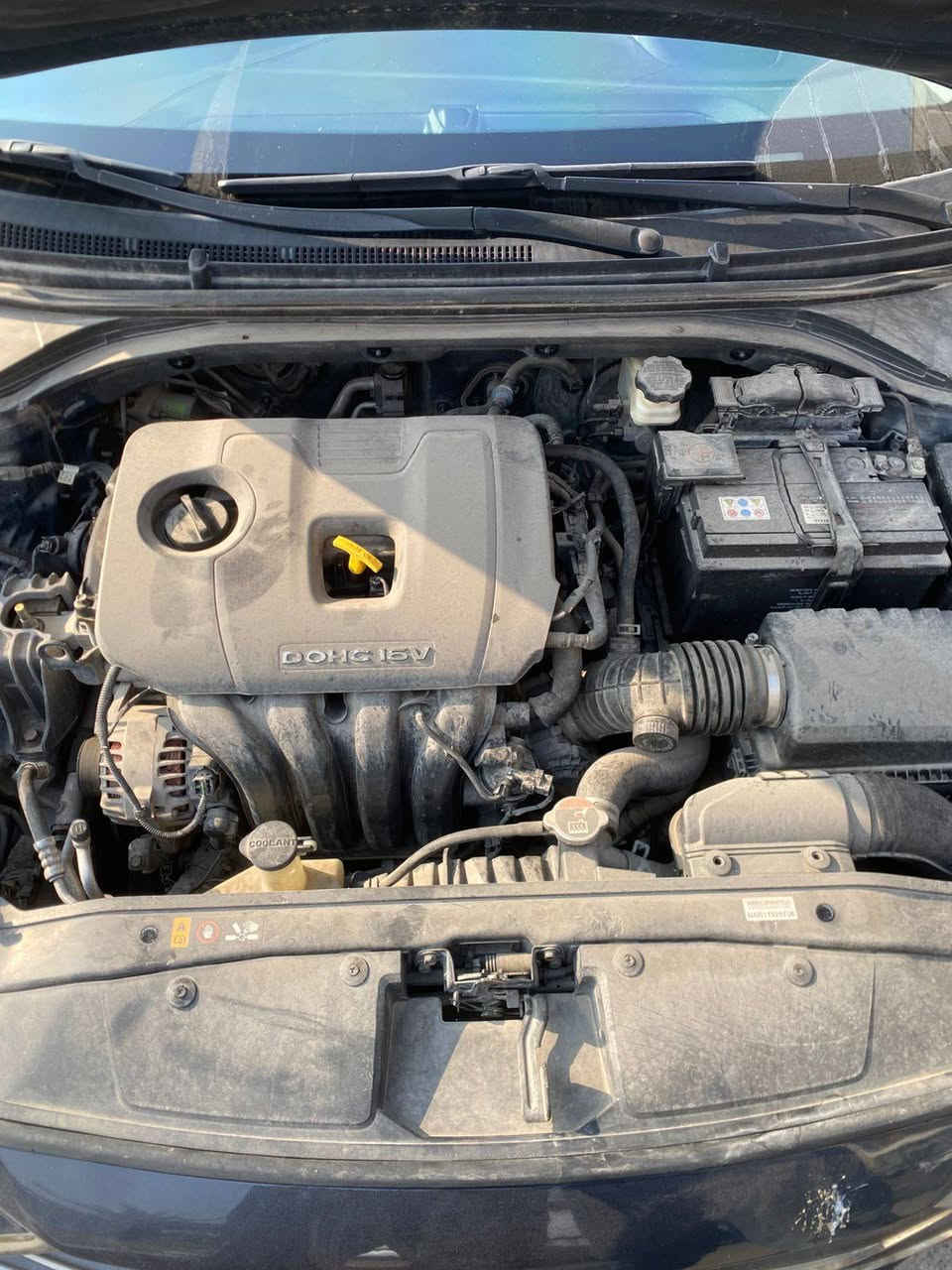 السلام عليكم النترا 2017 خليجي بيها باب وجاملغ وباقي كفاله عامه بيهة جراد قليل مكينه 2000 دوش
فول بصمه فتحه مري شفط تحكمات بطن جلد درشمه عامه المكان بياع
السعر 138 بيها مجال قليل
***********
سياره بسمي تحويل مباشر
مرفقه بسونار
