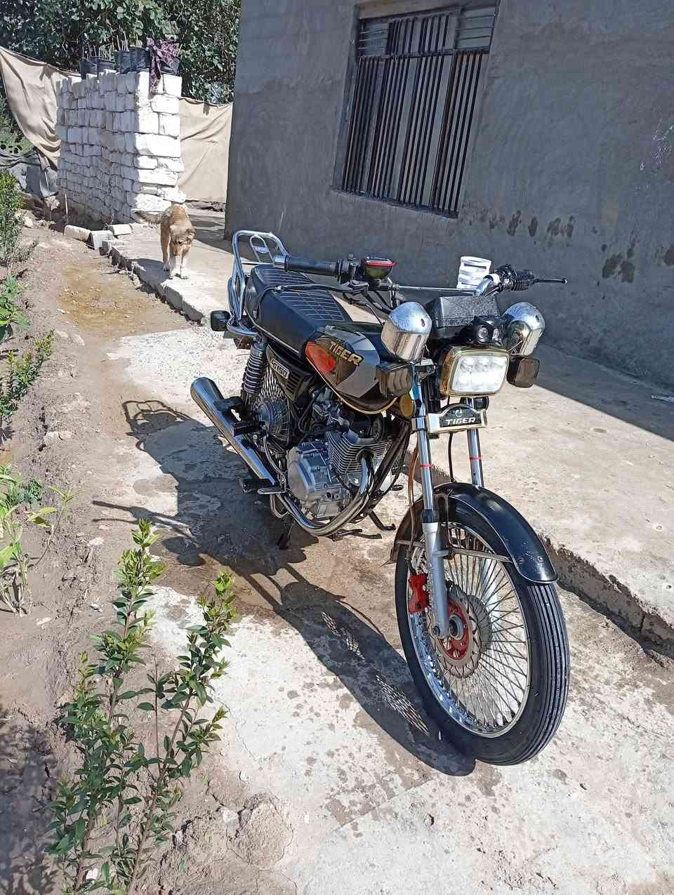 سلام عليكم  شباب دراجه تايكر موديل 24
اوراق  مكان بابل محاويل  سعر 550 وبيه مجال هاذ رقم ***********
