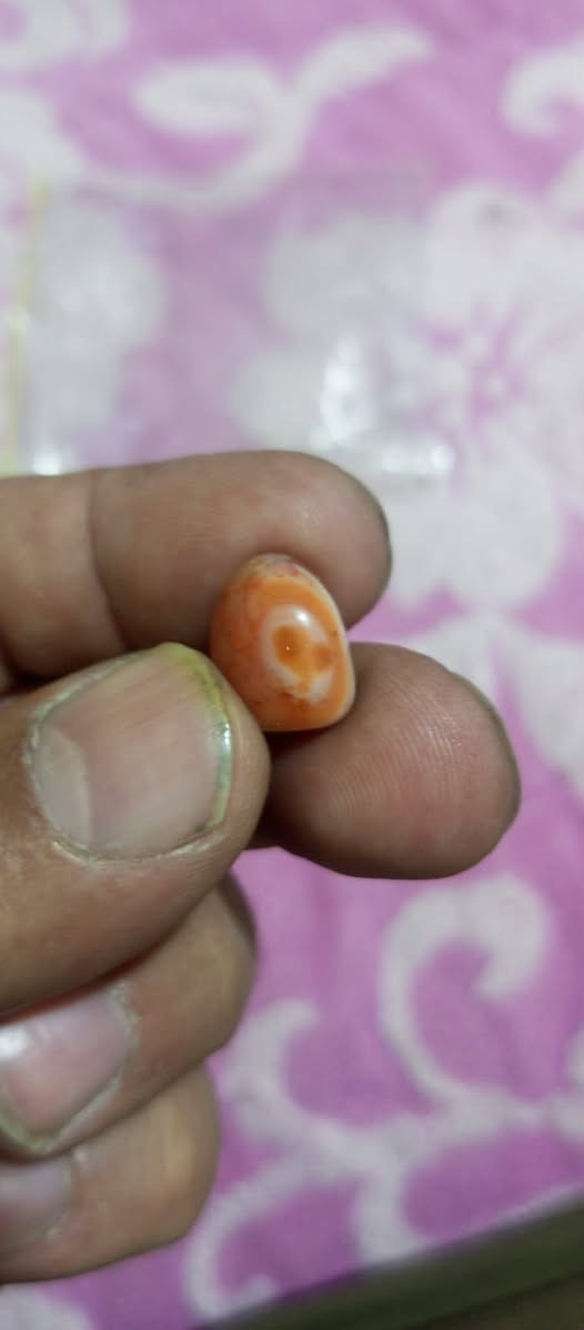 للبيع ومراوس تواصل خاص مكاني كربلاء


**إذا كنت صاحب هذا الإعلان وتريد حذفه لأي سبب، رجاءا أرسل رسالة إلى الدعم الفني**