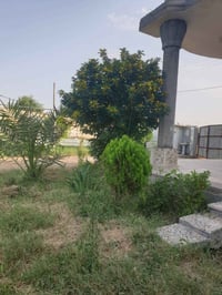 دونم • ٥٠ نخلة • دار استراحة
