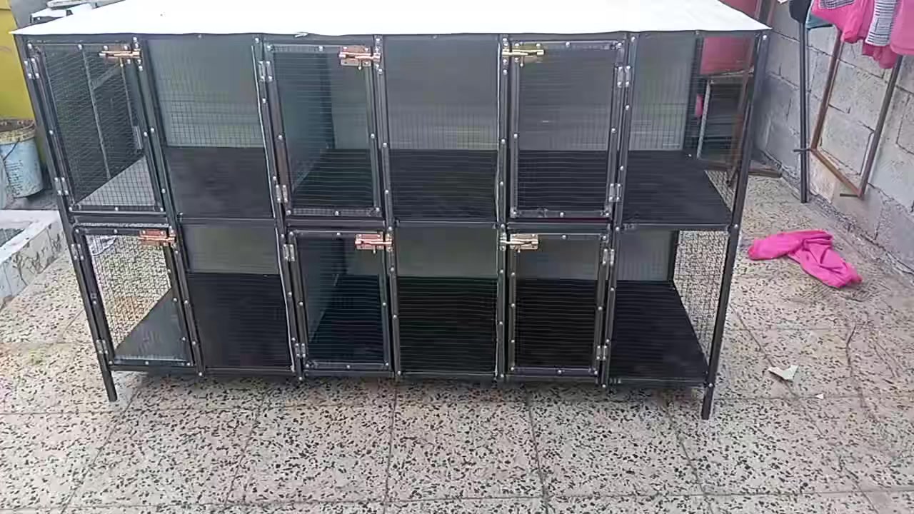 اشتغل كل القياسات وبسعر مناسب


**إذا كنت صاحب هذا الإعلان وتريد حذفه لأي سبب، رجاءا أرسل رسالة إلى الدعم الفني**