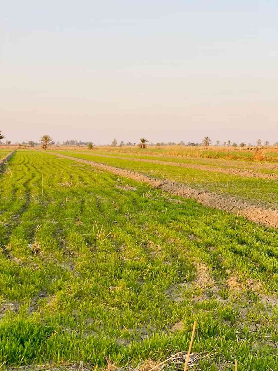 شني اليومممم 🔥
جايبلك دونمين ومن ضمن 4 دوانم فقط
وملك صرف وبيش بسعر 20 مليون الدونم
 بس جاهزات واصوليات بأسم عمي مباشر
ولا حق التصرف ولا مملوك للدوله ملك
شخصي الملك لله ملك صرف وخدماته
كامله ماء وكهرباء وسكن يمه ويبعد عن
السوق والمدارس 10 دقايق فقط العنوان
تاجي سبع البور بمنطقة الشيخ عامر يبعد
عن السوك 10 دقايق وما اخذ منك ربع 
دينار اذا ما افتحلك بيان وللتذكير عروض
متوفره ونطلع عليهن وانته اشوف اليي
يعجبك اتصال ***********واتساب
