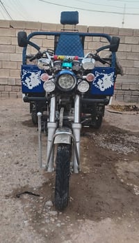 فحل  للبيع خير من لله مكفوله وحلوه ونضيفه مال خبزه انكرها سلف وطلع جها...