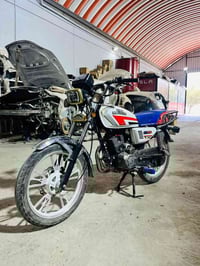 شينينغ • ٢٠٢٤ • خمسة كير