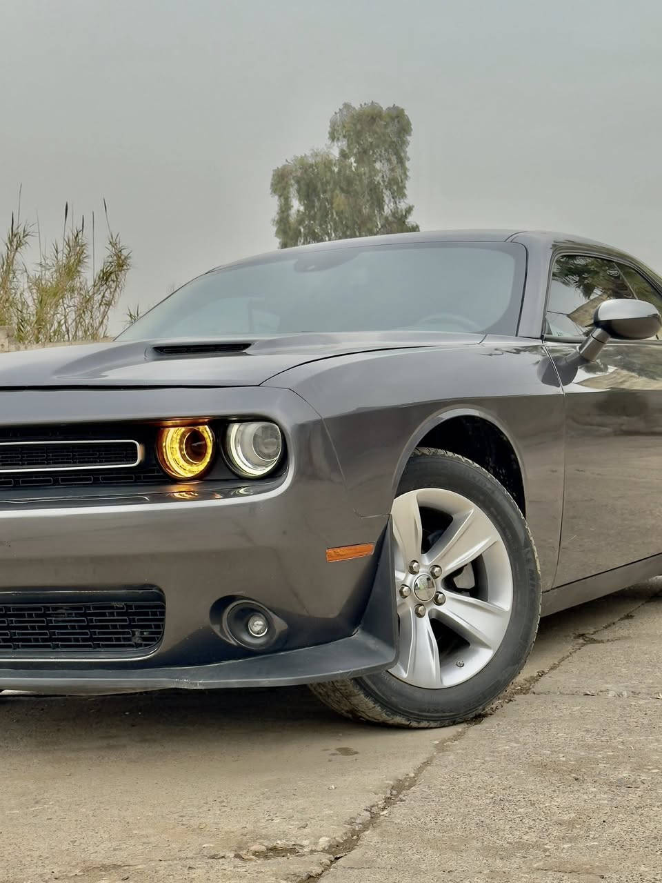 دوج جارنجر 2023 لون نفطي مواصفات sxt
ضررها جاملغ يسار وربع بنيد شرط بدون اي داخل وشاصي
سيارة نصبتها حلوه وجديده ونضرتها بعد احلا
مواصفاتها معروفه 
محرك v6  (3600)
شاشة وسطية تدعم ابل كار بلي واندرويد اوتو 
تحكم ستيرن كامل
كامرة دوارة 
قطتعتين تبريد
كرسي كهرباء 
سستم صوت alpine
هيتر بلمرايا
بصمة دخول ابواب 
وباقي مواصفات المعروفة 
سيارة كاتي تترقم شمالي 
السعر 176 $  وبيها مجال للطيبين
مكانها موصل
تواصل على رقمي ***********
