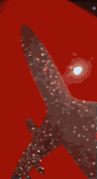 السلام عليكم 
دراجه شحن للبيع حجم 14 مبدله بطاريات نضيفه 
مواصفاته
عددالبطاريات:4
ملف 500
طريقه التشغيل بصمه2+سويج2 
شاشه ايباد حديثه مبدله جديده 
لايت عالي ناصي 
اشاره يمنه يسره 
السعر:280الف 
للي يريد يشتريه يتصل على الرقم
***********
مكاني بغداد حي العدل
