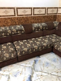 تخم للبيع ب150 07881056936