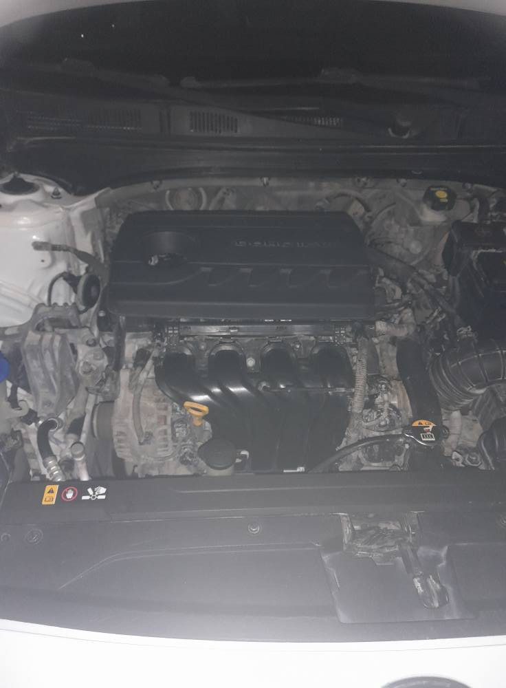 سيراتو. خليجي. 2019
رقم. بصره. نكليزي. تحويل
السعر. 157بيه. مجال. الشراي
كفاله. عامه. بيه. باردين
مراوس حسب القناعه 
***********
*********** البصرة, العراق
