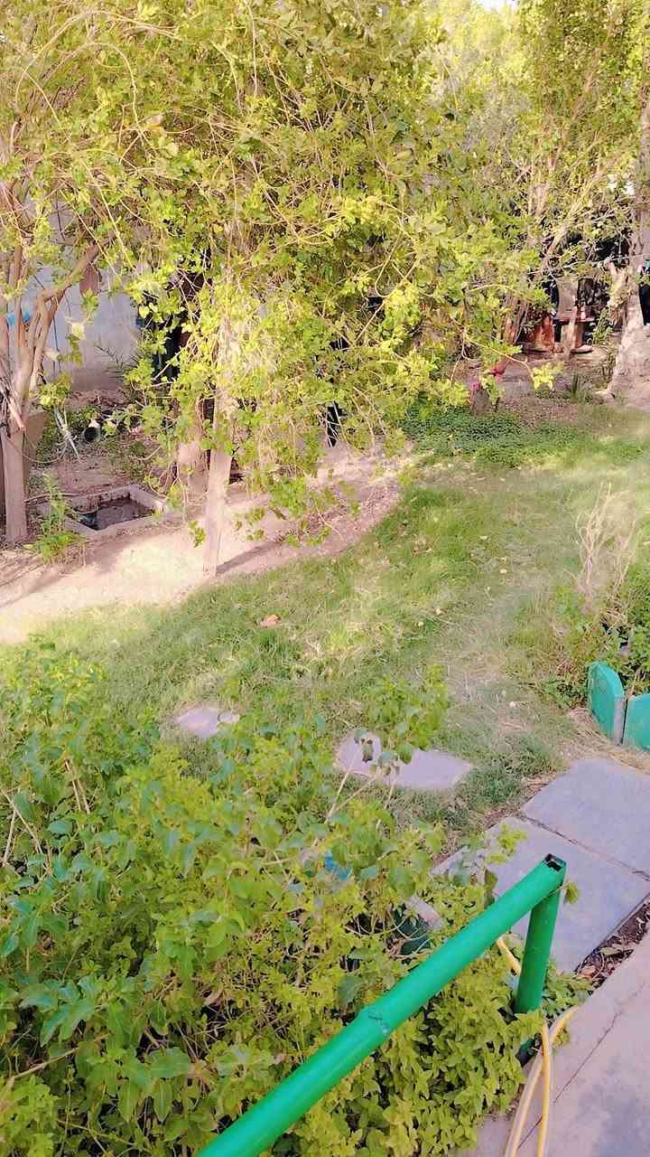 دار للبيع. او مراوس ابيت عله طريح الاحرار المزاك منطقه اشبيليه المساحه الكليه 1250متر تحتوي على دار مساحه160متر يتكون من استقبال +مطبخ خارجي +هول +3غرف. تبليط ابضهر البيت وكدامه. بناء طابوق صب مسلح مع قطعه ابضهر البيت مساحته 400متوفره كل الخدمات بي السعر 85 للستفسار اكثر ***********
