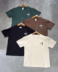 قالب هاف • مقاسات L-4XL • ملابس