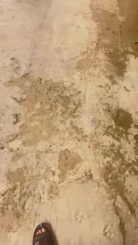 دراجة • تعمير ٢٥ • شاصي