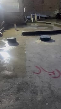 طابو صرف • ١٥٠م • حيوي