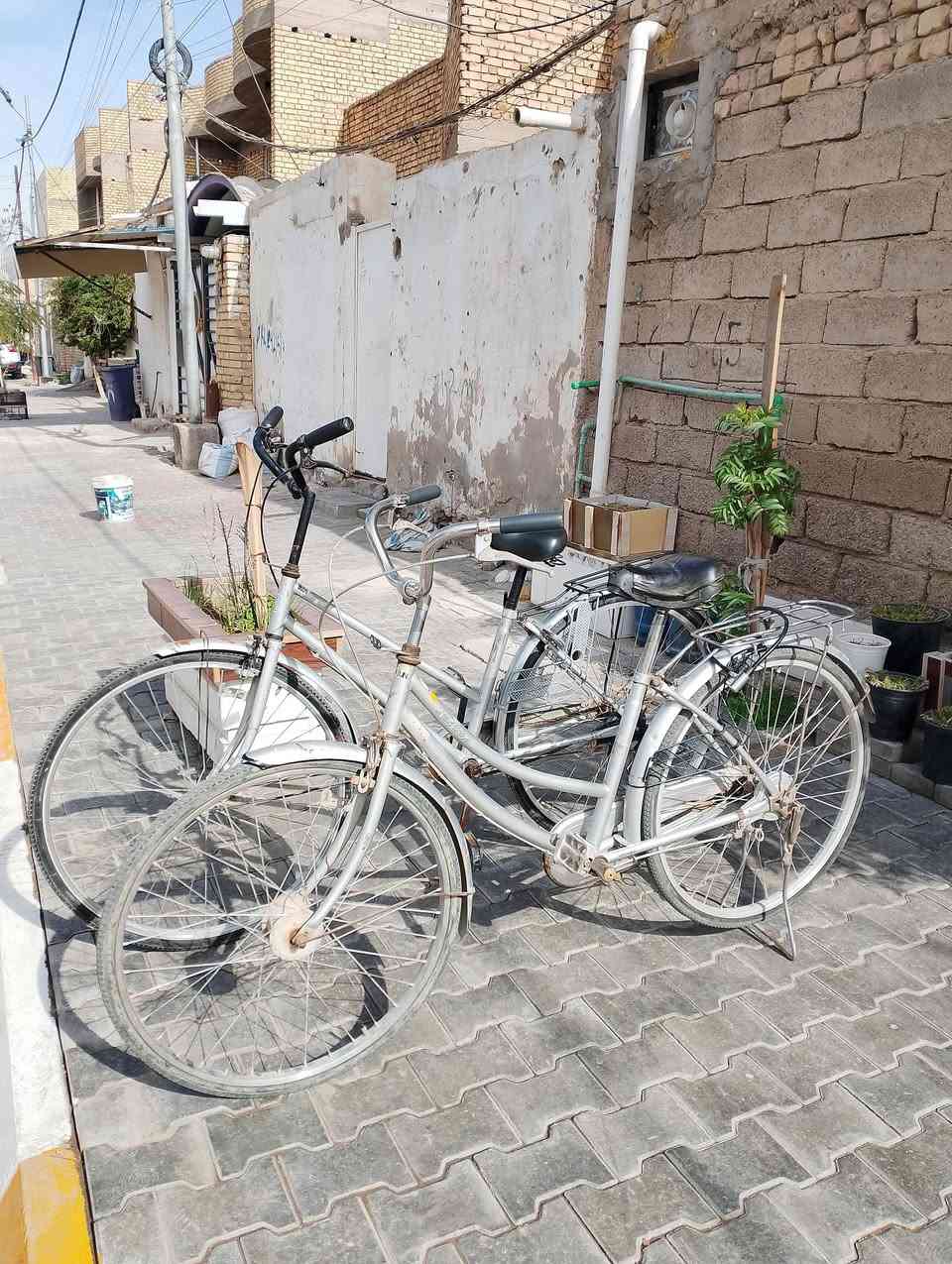 متاح السعر الواحد 70


**إذا كنت صاحب هذا الإعلان وتريد حذفه لأي سبب، رجاءا أرسل رسالة إلى الدعم الفني**