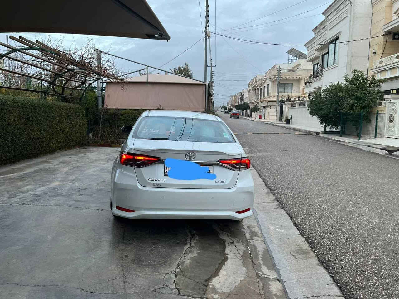 کڕۆڵا 2024 هیچ نیە بئ شوخ بئ لێدان دەعامی بۆ دەعامی بەشەرت 19هەزار ڕۆیشتوە *********** أربيل, العراق
