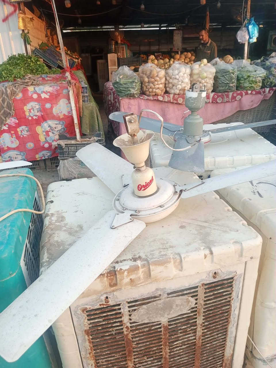بنكات اكبر حجم الصلي وع الفحص العنوان حله ورديه خارج قرب علوت المخضر يم البسطيات مال المخضر بيع مستعجل كلش  ***********بنكات اكبر حجم الصلي وع الفحص العنوان حله ورديه خارج قرب علوت المخضر يم البسطيات مال المخضر بيع مستعجل كلش  *********** من قديمات اكبر حجم
