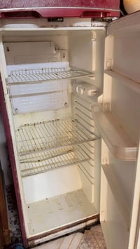 ثلاجه • شغاله • حي جزائر