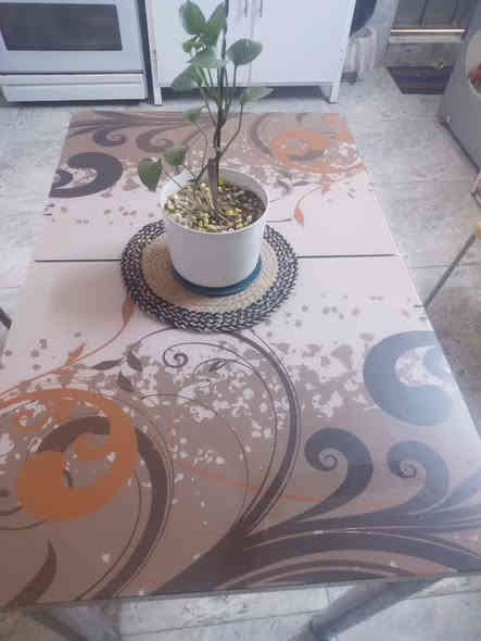 السلام عليكم عندي كاونتر وطباخ خمس عيون شغال وميز طعام 
الكاونتر الارضي ٣ مترات والتعليك مترتين والسنك متر وكلهن سعرهن ٣٥٠
 للتواصل *********** وبيهن مجال
