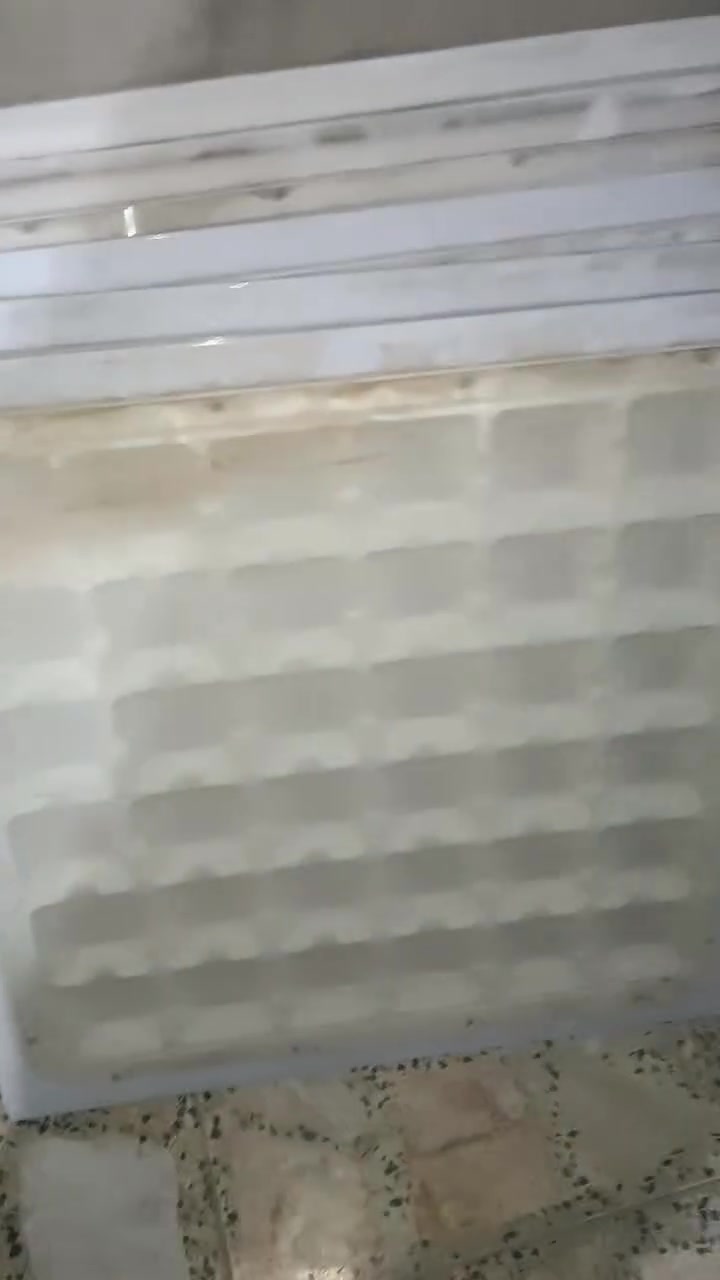 عندي مال سقف ثانوي 5 قطع كلهن شغلات كاملات هنه ومحولاتهن اربط وشغل مكاني بغداد الغزاليه بداية شارع الظغط توصيل موجود ***********
