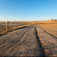 حي القوسيات • ٢٥٠م • سند ابيض