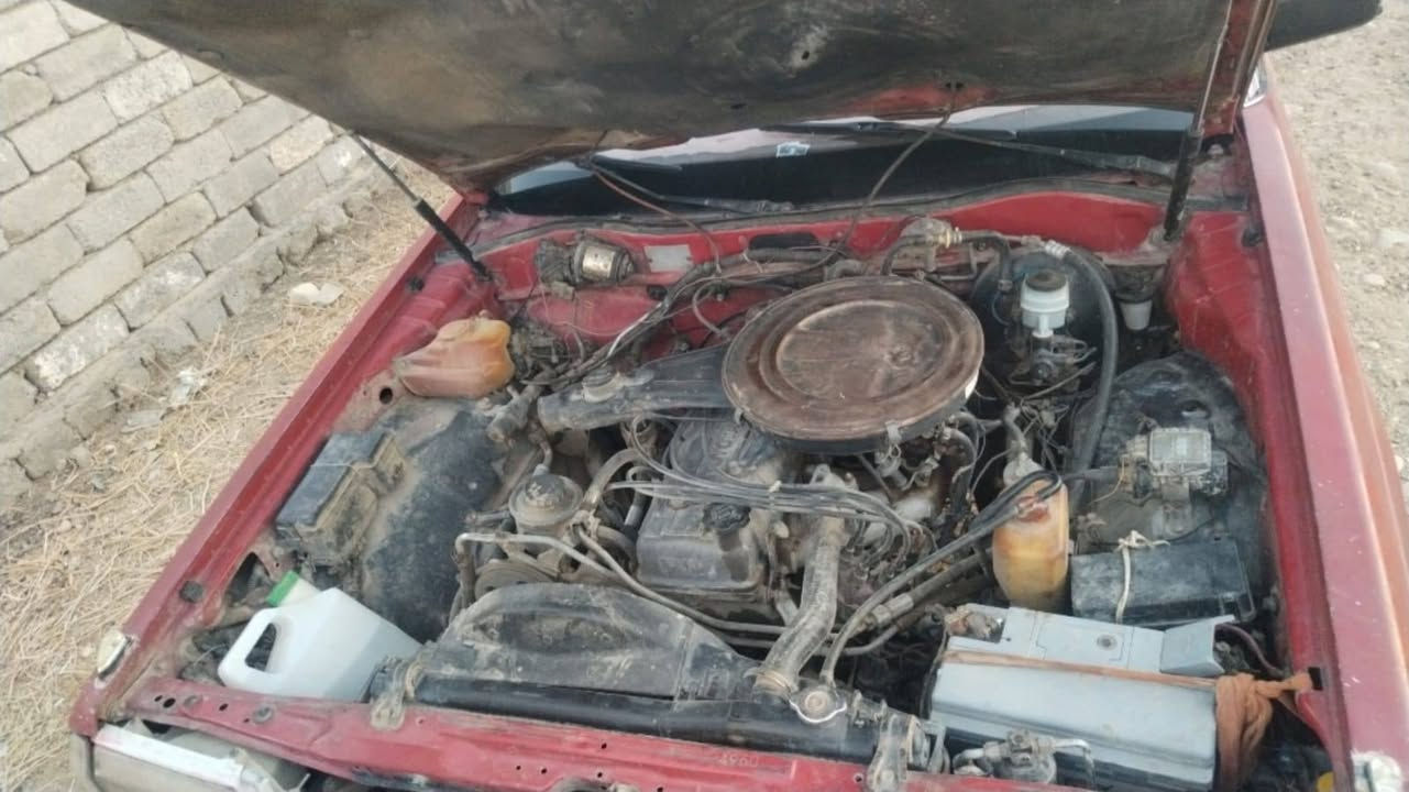 سوبر موديل82 خصوصي رقم دولي 
للتواصل *********** موصل, نينوى
