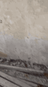 السلام عليكم ورحمه الله وبركاته تشميع مع جص مع بورك مع رفع انقاذ بعد العمل وبأسعار  مناسبه ان شاء الله ملاحضه شغل استلام مهندس مانستلم اي مبلغ بعد معاينه العمل من قبل اصحاب لاختصاص للتواصل ‏‪***********‬‏
