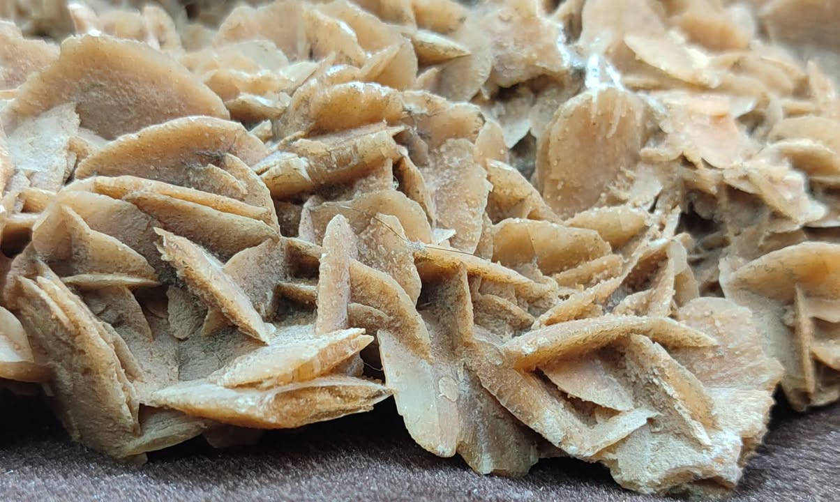 زهرة الصحراء تشكيلات بلورية معدنية تتكون من الجبس او الباريت مع حبيبات الرمل
بيع مباشر 150.000 دينار 
يتوفر توصيل لجميع محافظات العراق


**إذا كنت صاحب هذا الإعلان وتريد حذفه لأي سبب، رجاءا أرسل رسالة إلى الدعم الفني**