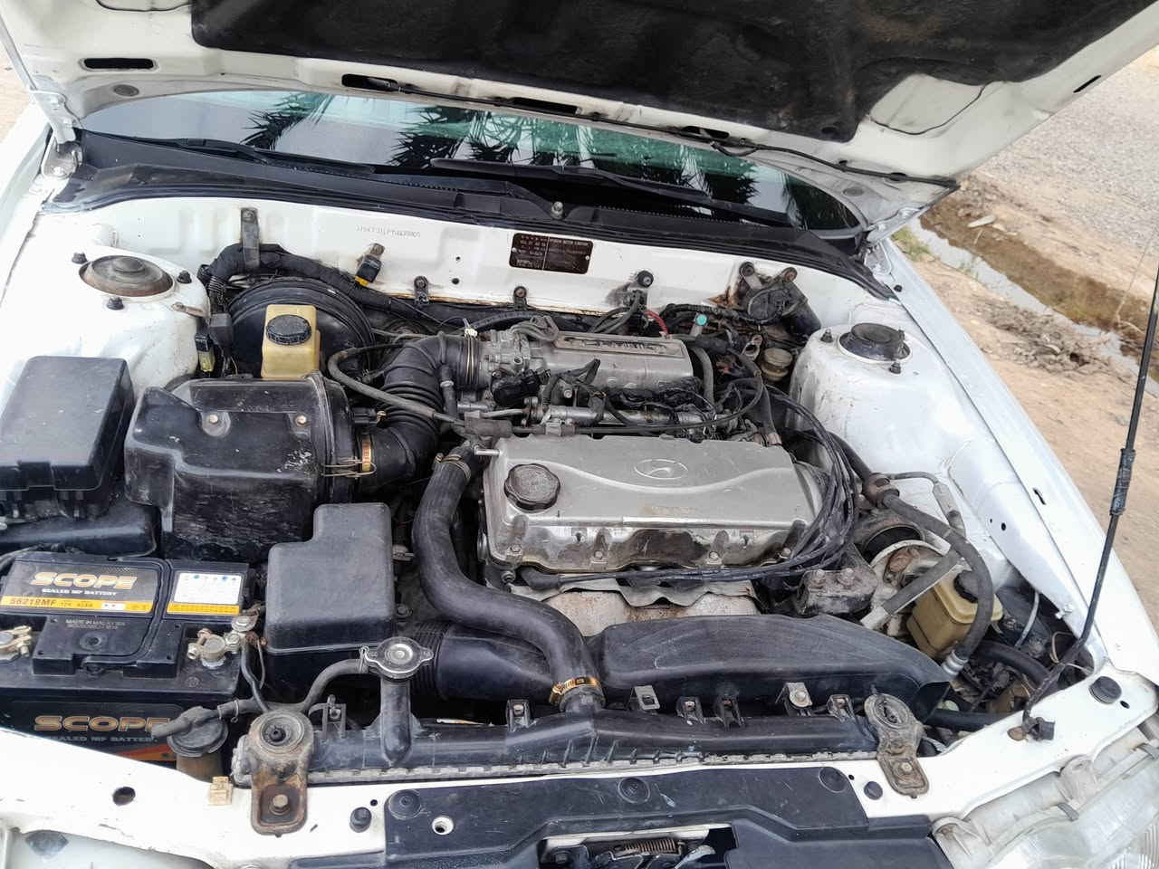 السلام عليكم سوناتا ثري بغداد ابيض شرط التحويل المكينه والكير شرط الظمان قبل اسبوع شادهن مع الكلج صدر امامي وخلفي جديد غرفته وضع شركه نظيفه جدا بدون حادث صبغ عام للجماليه مكاني ديالى سعره 50بيه مجال قليل للاستفسار الاتصال على الرقم ***********
