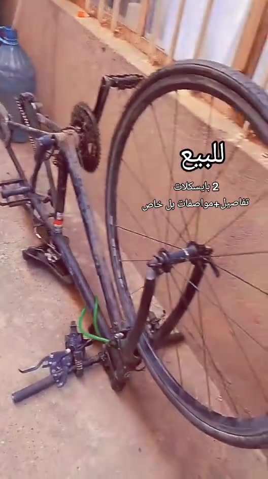 #السلام_عليكم 
#بايسكل للبيع السعر خاص 
موصفات 
كير شغال ميه بل ميه على فحص  تايه خلفيه موجوده جوب مالها موجود فقط الويل مكسور وصله انت تصلحو 
طفاريات خلفي 
بريك خلفي موجود يشتغل 
بريك كدام هم شغال 
مكاني #موصل_حي_التحرير 
#السعر_خاص


**إذا كنت صاحب هذا الإعلان وتريد حذفه لأي سبب، رجاءا أرسل رسالة إلى الدعم الفني**
