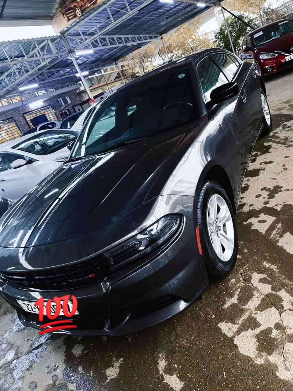 DODGE CHARGER SXT 

          2023/ V6 /3.6L

السيارة داخله كاتي دهوك
ضرر خفيف جدا
ضرر السيارة بيبان تبديل نفس اللون 
تكمة وسطية شبر صبغ فقط
ربع  جاملغ امامي بخ
بجم كبس برغي مامفتوح
ايرباكات سليمة 
مواصفات
سكان كهربائي
دشبول جلد
شاشه 
اللون نفطي 
لايتات زينون اصلي
حساسات خلفيه
قطعتين تبريد 
مداخل usp خلفي 
دكمه مانه انزلاق
ABS
كير طيارة
تشغيل عن بعد
رقم السيارة ارببل
ماشي ٥٥ الف
السعر ٢٣٩$
للاستفسار مراجعة الصفحة 
او الاتصال بالرقم ***********
