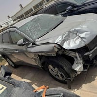 توسان • ٢٠٢٤ • وارد امريكي حادثه