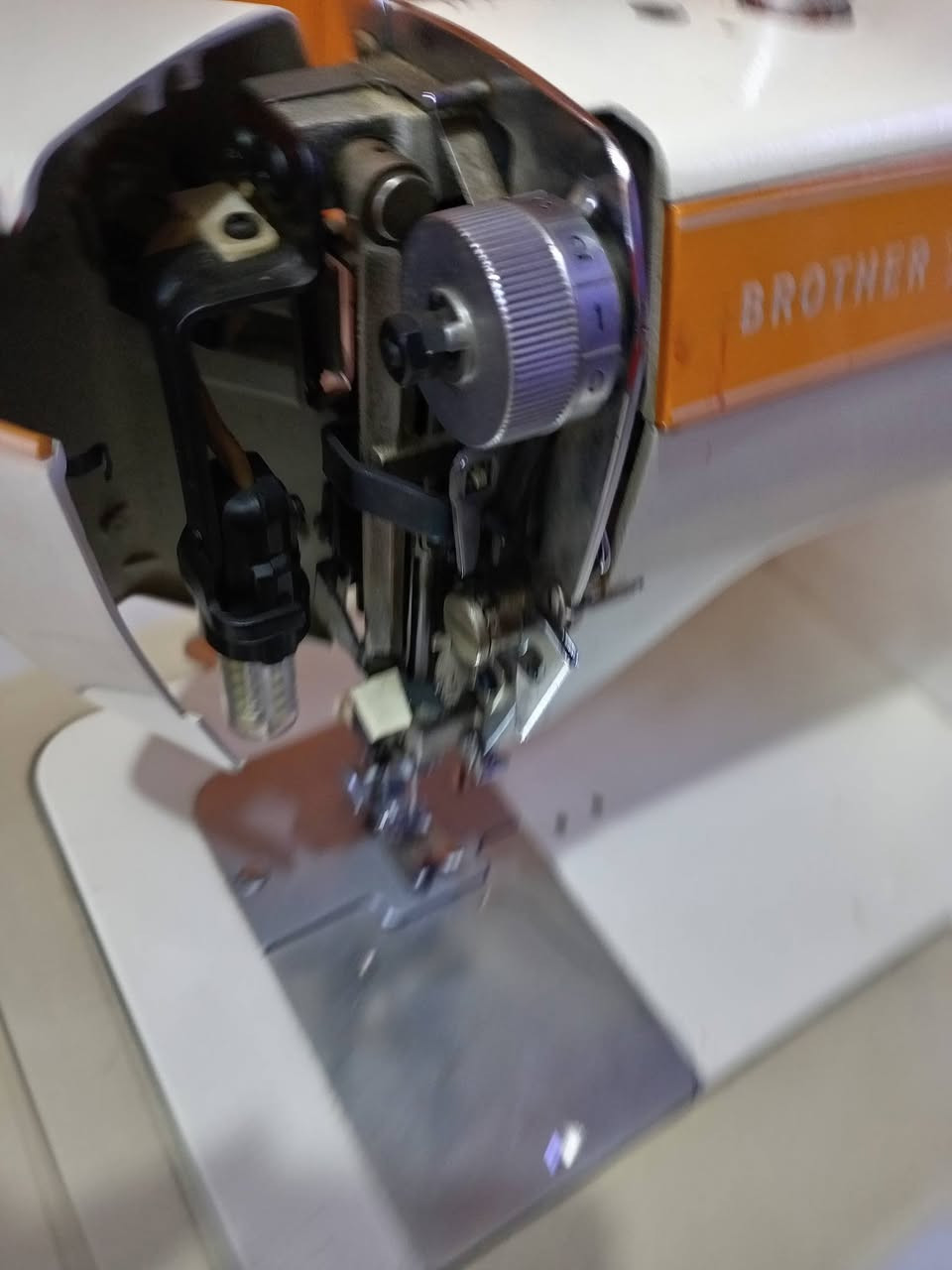 برذر ياباني اخت الجديده السعر ١٩٠الف بغداد الشعب توجد خدمة توصيل


**إذا كنت صاحب هذا الإعلان وتريد حذفه لأي سبب، رجاءا أرسل رسالة إلى الدعم الفني**