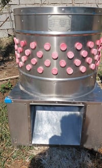 هلاسة دجاج مهلوس بيها اقل ال 100 دجاجة. تقريبا جديدة  السعر 300  التوا...