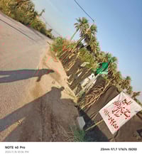 عزيزيه برينج الكطع • بستان ٢ دونم • طابو سند