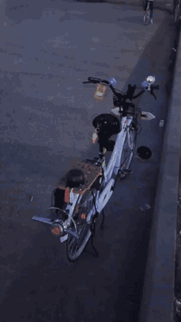 باسكل للبيع موديل 2022 باسكل مطلعه حاويه هوه وغراضه نضافه 100/💯 شركه B...