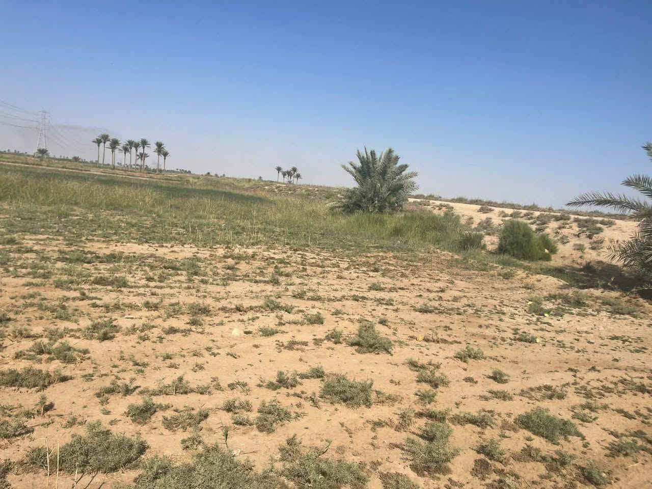 قطعة أرض للبيع
المساحة نص دونم
السعر ٨ مليون 
الموقع الرمادي ناحية اليرموك قرب مزرعة شيخ إحسان العسافي
جنس الأرض طابو زراعي لايوجد تحويل بالوقت الحالي
فقط تعهد بعدم وجود أي مشكلة عشائرية تعهد وبصمة ومكاتبة
تقع وجهه على اروائي ماء سقي الوجهه الثاني طريق على البزل شارعين اروائي وبزل الأرض صالحة للزراعة والسكن قريبة جميع الخدمات
للسعر والاستفسار أكثر اتصال على الأرقام التالية
*********** واتساب
*********** واتساب
او مراسلة الصفحة في اي وقت نعتذر عن التأخير عن الرد في بعض الأحيان
نستقبل جميع العروض العقارية في مدينة الرمادي
ابو احمد
