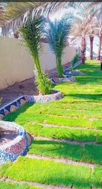 لعمل الديكور اتصل على الرقم (07807290189) 🍃مستـعدون🍂 ، لـترتيب🐦 الحدائ...