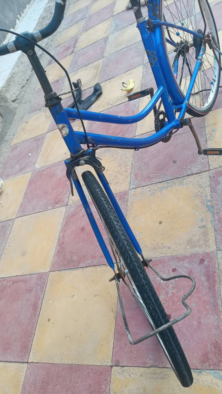 السلام عليكم بايسكل للبيع مكاني السماوه  السعر 50


**إذا كنت صاحب هذا الإعلان وتريد حذفه لأي سبب، رجاءا أرسل رسالة إلى الدعم الفني**