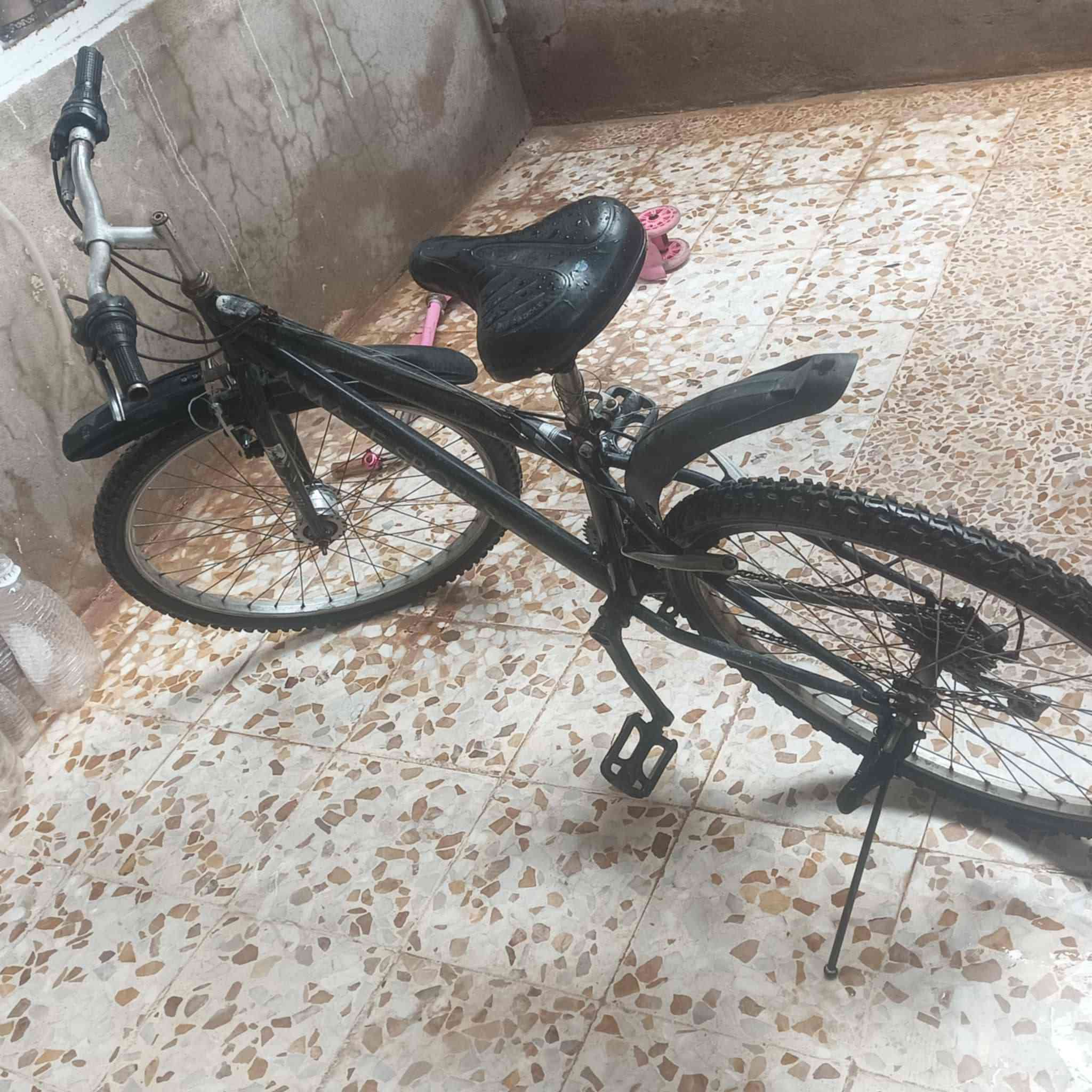 بايسكل للبيع 
نضافة ✅
كلشي مابي عطل✅
بس ناقصو اسطاب ورا 
اسطاب كدام شغال بايسكل نضيف وماتصرف علي لو ربع 
العنوان / موصل جانب الايمن 
السعر 40 وبي مجال بسيط
شراي راسلني خاص + لاتكسر بلسعر


**إذا كنت صاحب هذا الإعلان وتريد حذفه لأي سبب، رجاءا أرسل رسالة إلى الدعم الفني**